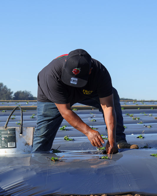 FRESALOCS EMBROIDERED HAT