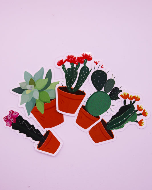 THE SUCCULENT PACK